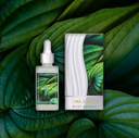 QUIET BAMBOO 30ML