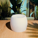 ZEN FROSTED GLASS LID image 0