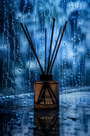 Savannah Rain Reed Diffuser